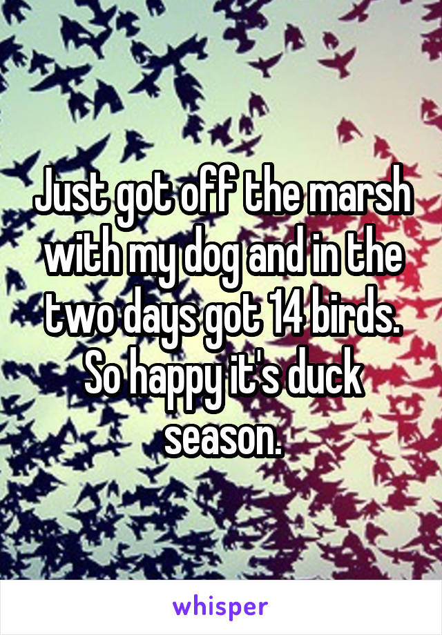 Just got off the marsh with my dog and in the two days got 14 birds. So happy it's duck season.