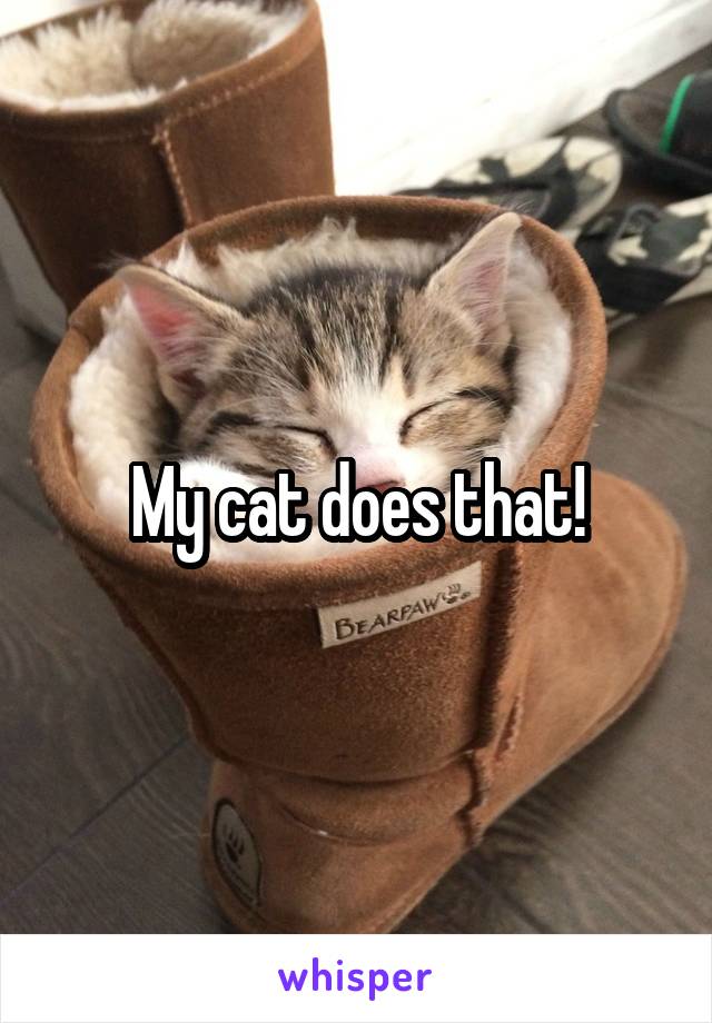 My cat does that!