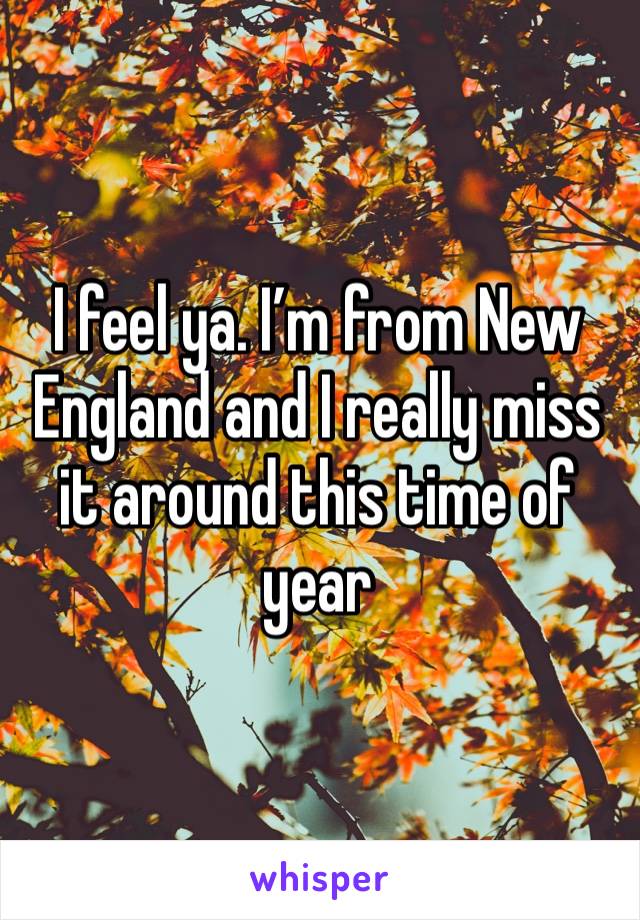 I feel ya. I’m from New England and I really miss it around this time of year