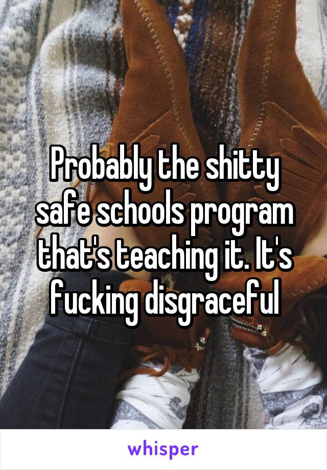 Probably the shitty safe schools program that's teaching it. It's fucking disgraceful