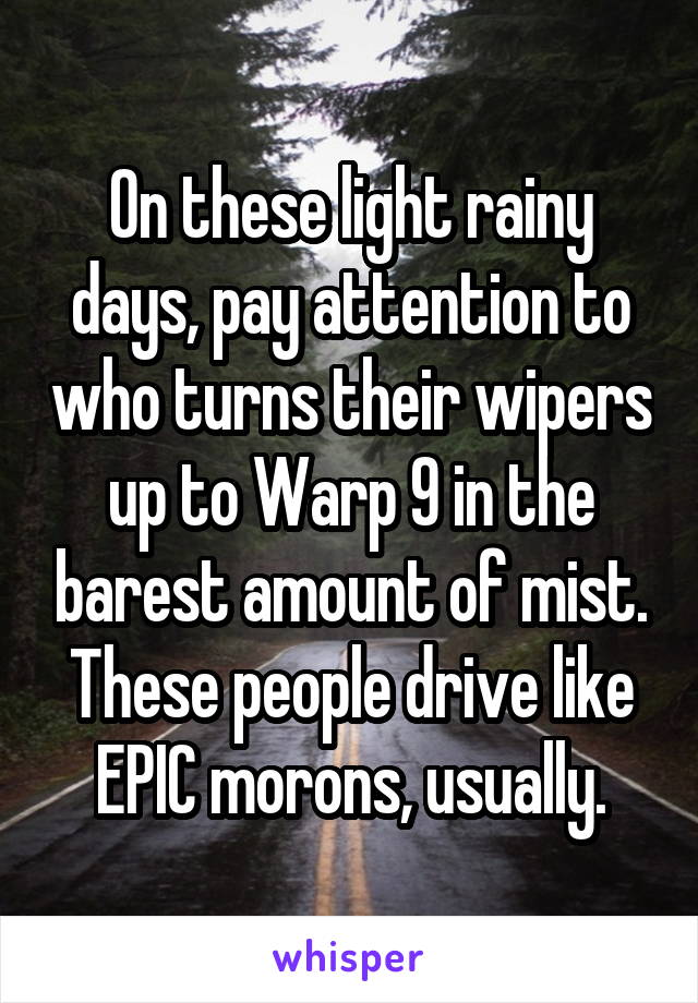 On these light rainy days, pay attention to who turns their wipers up to Warp 9 in the barest amount of mist. These people drive like EPIC morons, usually.
