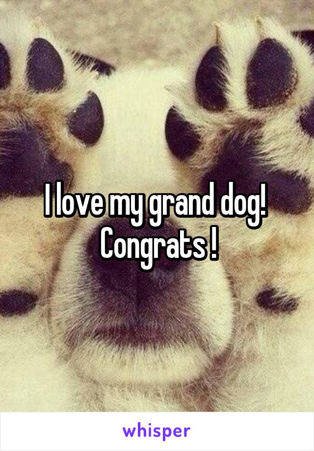 I love my grand dog! 
Congrats !