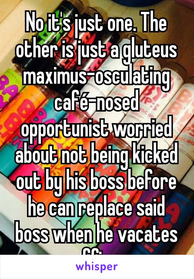 No it's just one. The other is just a gluteus maximus-osculating café-nosed opportunist worried about not being kicked out by his boss before he can replace said boss when he vacates office
