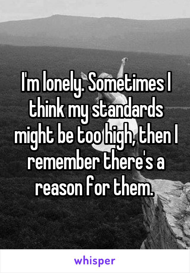 I'm lonely. Sometimes I think my standards might be too high, then I remember there's a reason for them. 