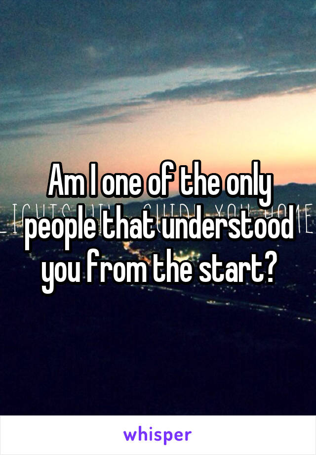 Am I one of the only people that understood you from the start?