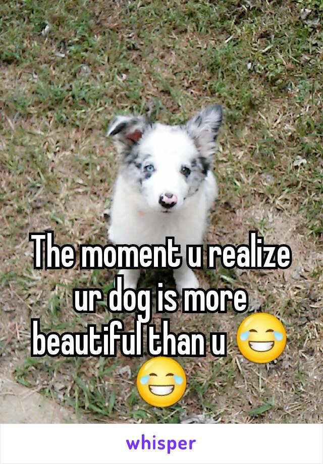 The moment u realize ur dog is more beautiful than u 😂😂