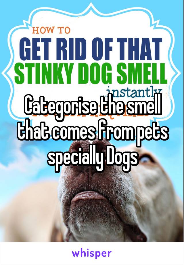 Categorise the smell that comes from pets specially Dogs