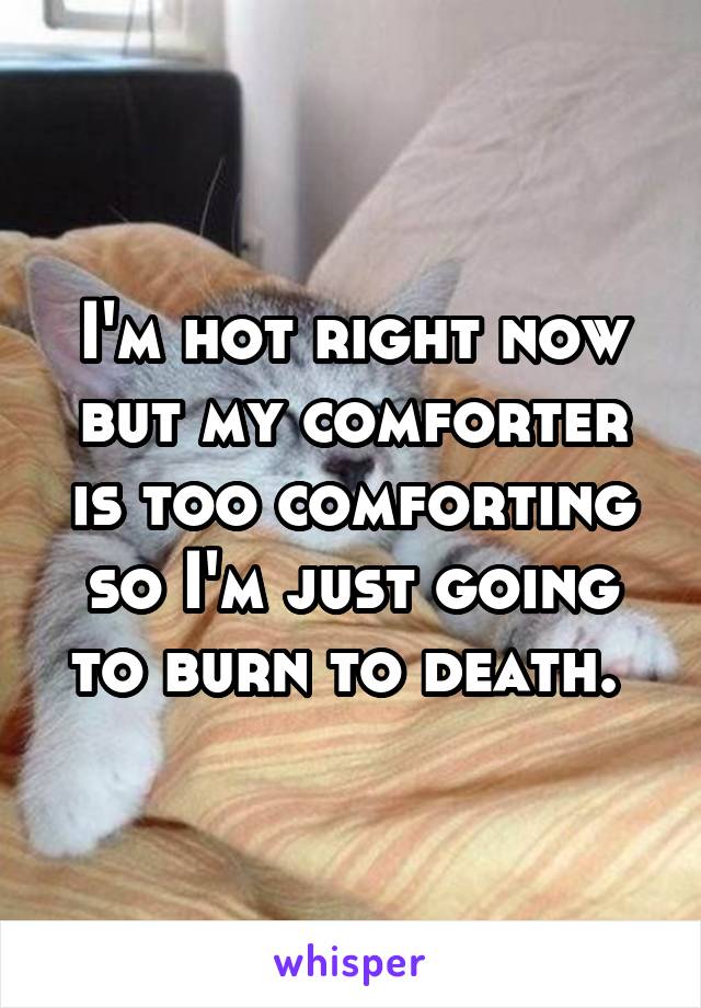 I'm hot right now but my comforter is too comforting so I'm just going to burn to death. 