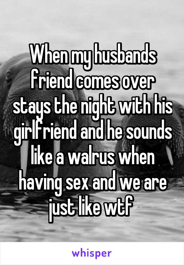 When my husbands friend comes over stays the night with his girlfriend and he sounds like a walrus when having sex and we are just like wtf 