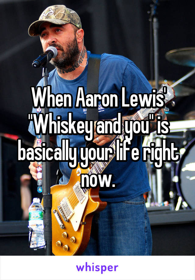 When Aaron Lewis' "Whiskey and you" is basically your life right now.