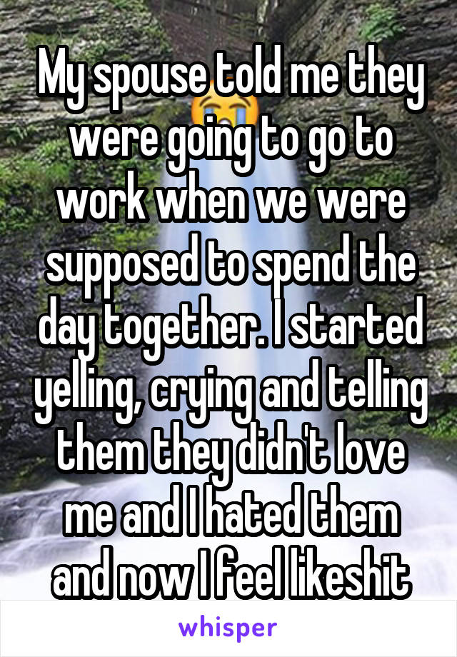 My spouse told me they were going to go to work when we were supposed to spend the day together. I started yelling, crying and telling them they didn't love me and I hated them and now I feel likeshit