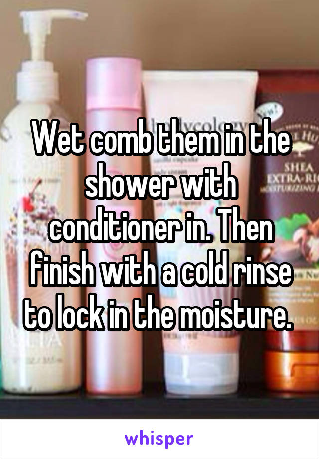 Wet comb them in the shower with conditioner in. Then finish with a cold rinse to lock in the moisture. 