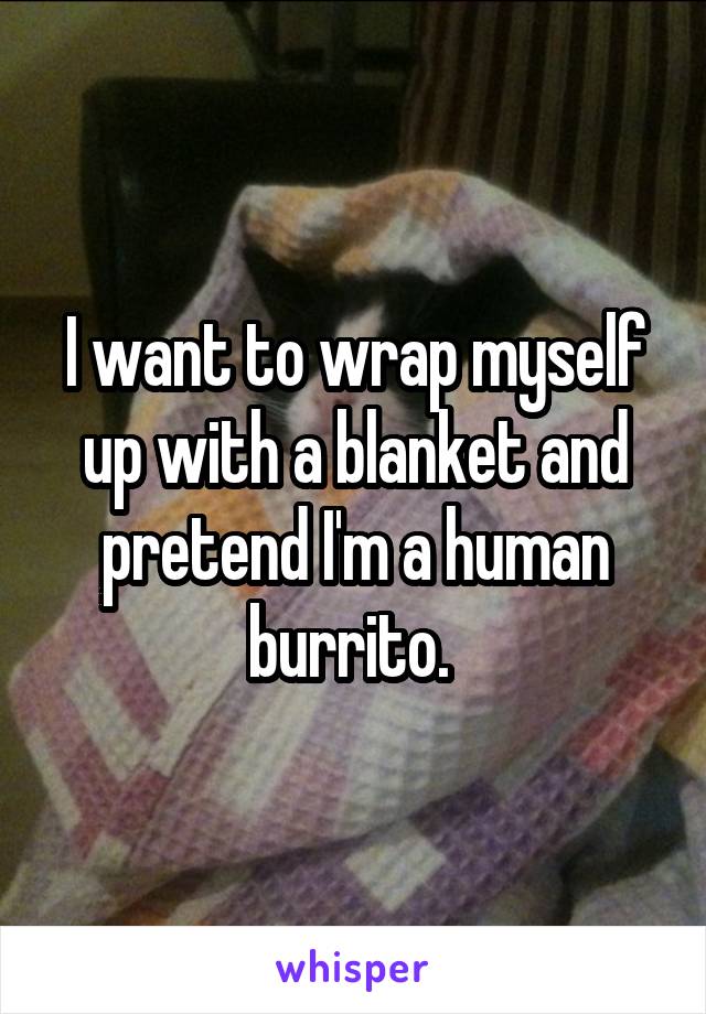 I want to wrap myself up with a blanket and pretend I'm a human burrito. 