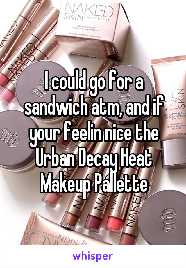I could go for a sandwich atm, and if your feelin nice the Urban Decay Heat Makeup Pallette