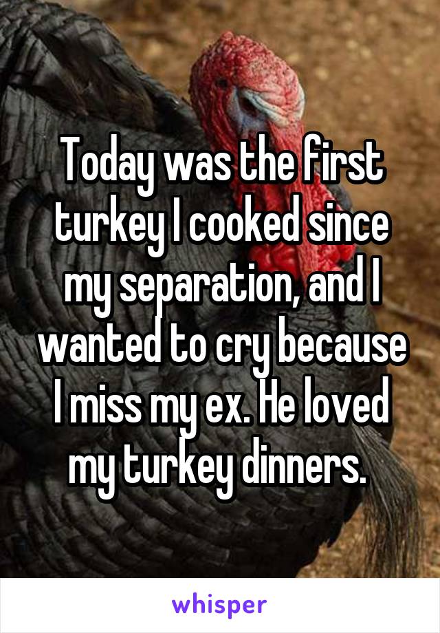 Today was the first turkey I cooked since my separation, and I wanted to cry because I miss my ex. He loved my turkey dinners. 