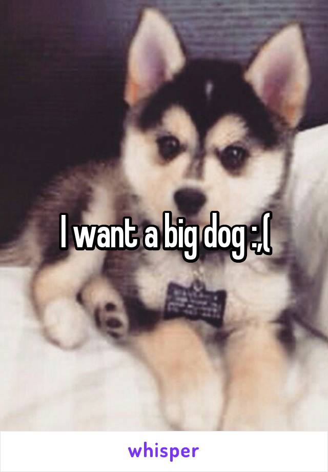 I want a big dog :,(