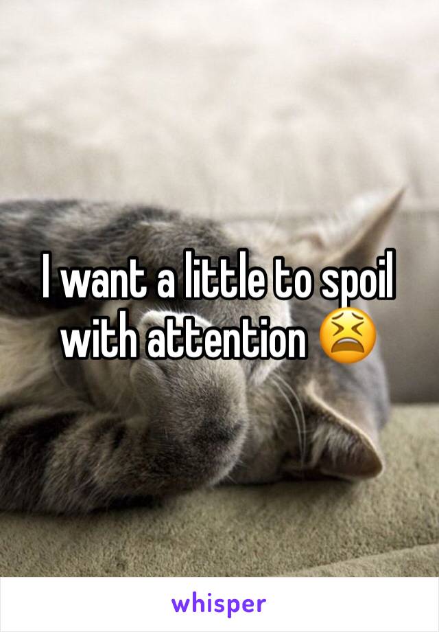 I want a little to spoil with attention 😫