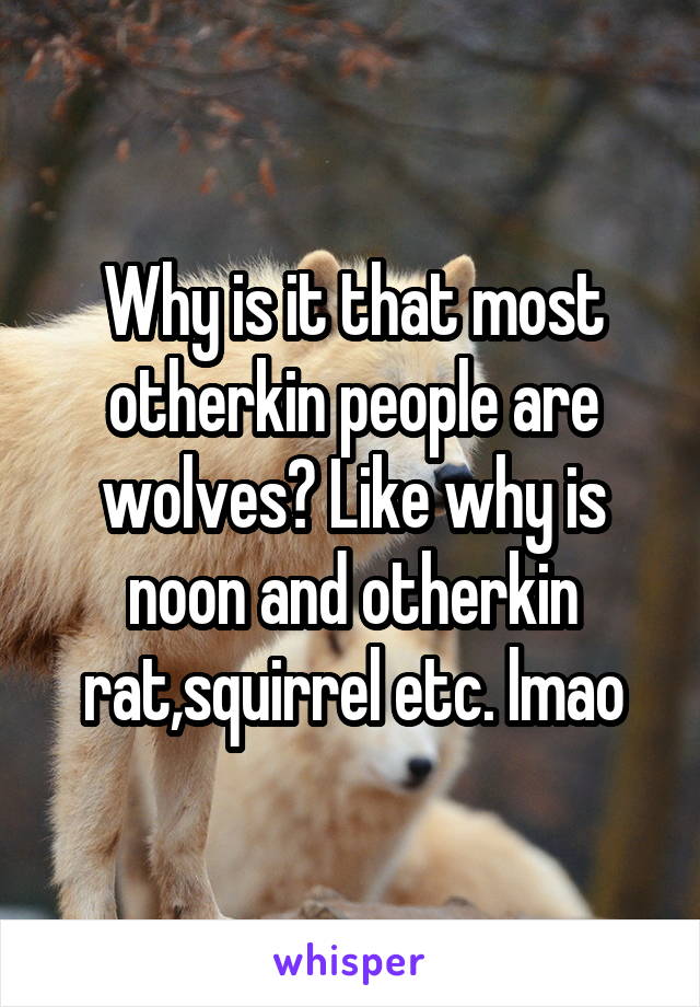 Why is it that most otherkin people are wolves? Like why is noon and otherkin rat,squirrel etc. lmao