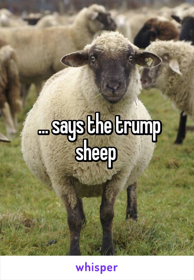  ... says the trump sheep 
