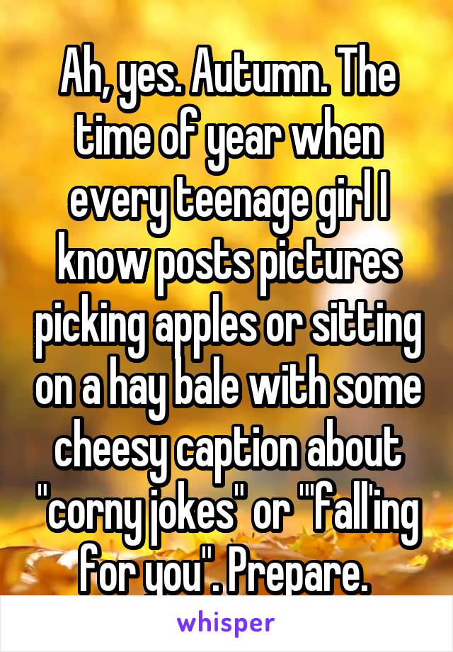 Ah, yes. Autumn. The time of year when every teenage girl I know posts pictures picking apples or sitting on a hay bale with some cheesy caption about "corny jokes" or "'fall'ing for you". Prepare. 