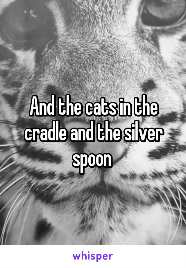 And the cats in the cradle and the silver spoon 