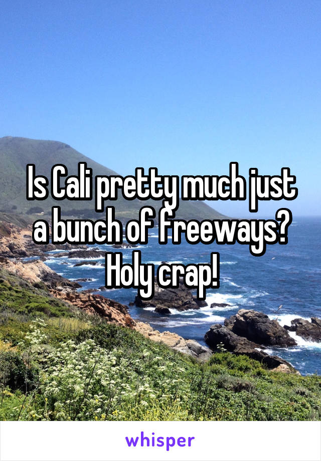 Is Cali pretty much just a bunch of freeways? Holy crap!