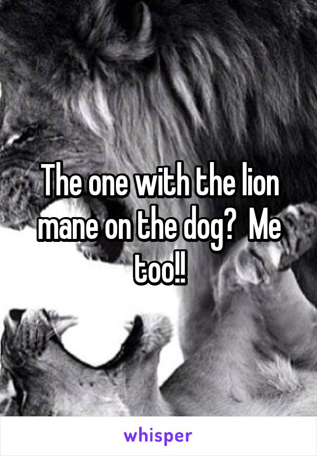 The one with the lion mane on the dog?  Me too!!