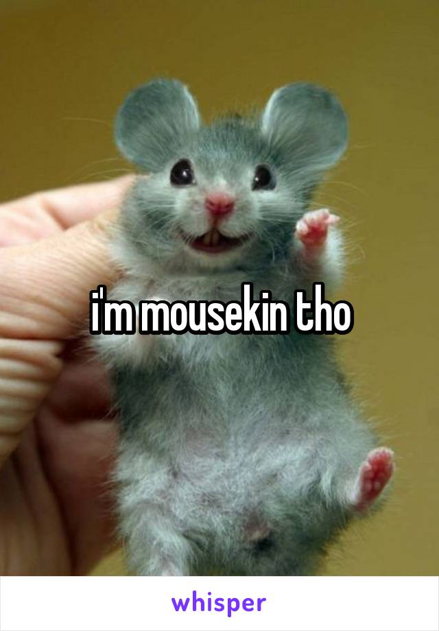 i'm mousekin tho