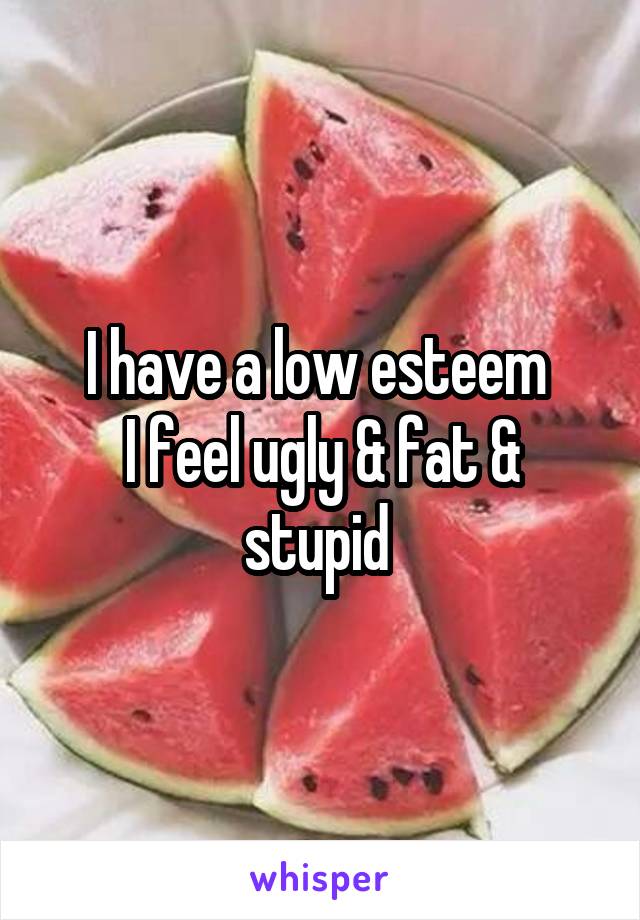 I have a low esteem 
I feel ugly & fat & stupid 