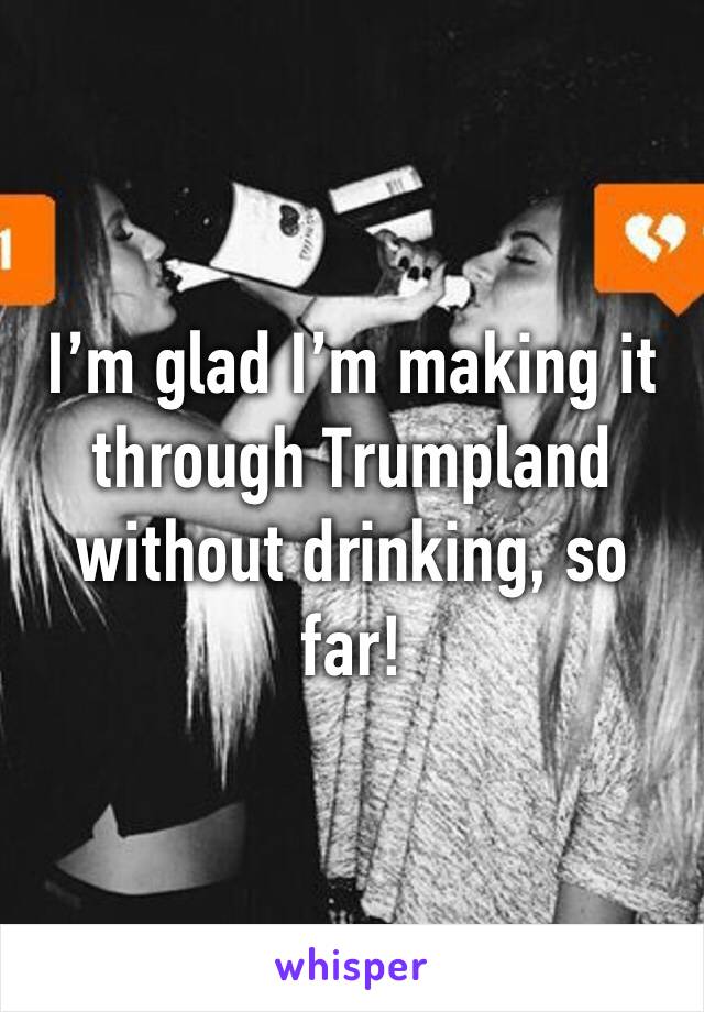 I’m glad I’m making it through Trumpland without drinking, so far!