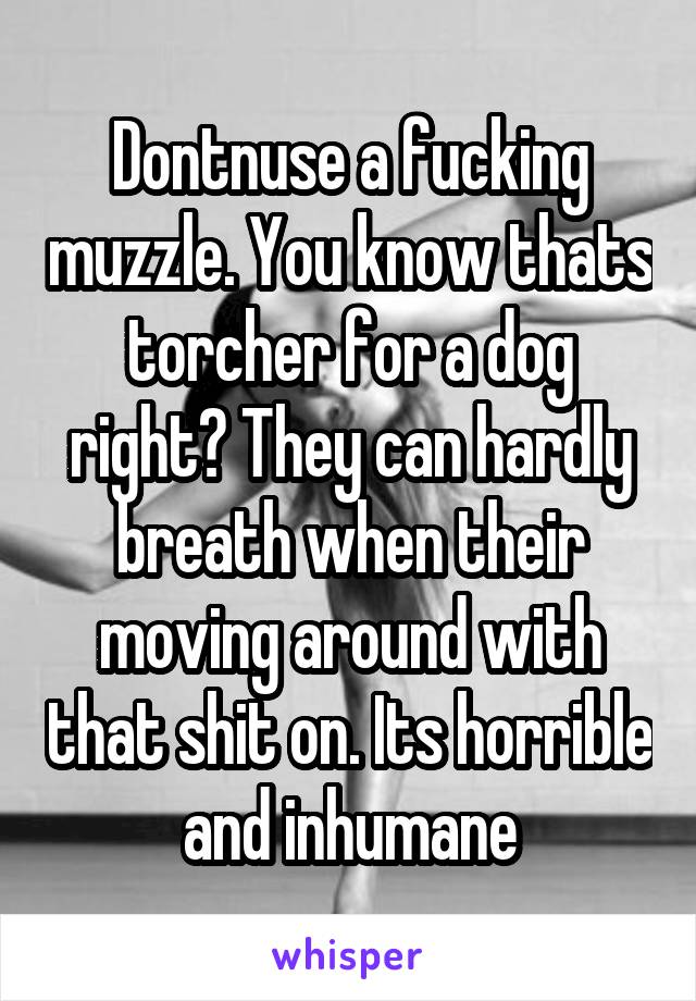 Dontnuse a fucking muzzle. You know thats torcher for a dog right? They can hardly breath when their moving around with that shit on. Its horrible and inhumane