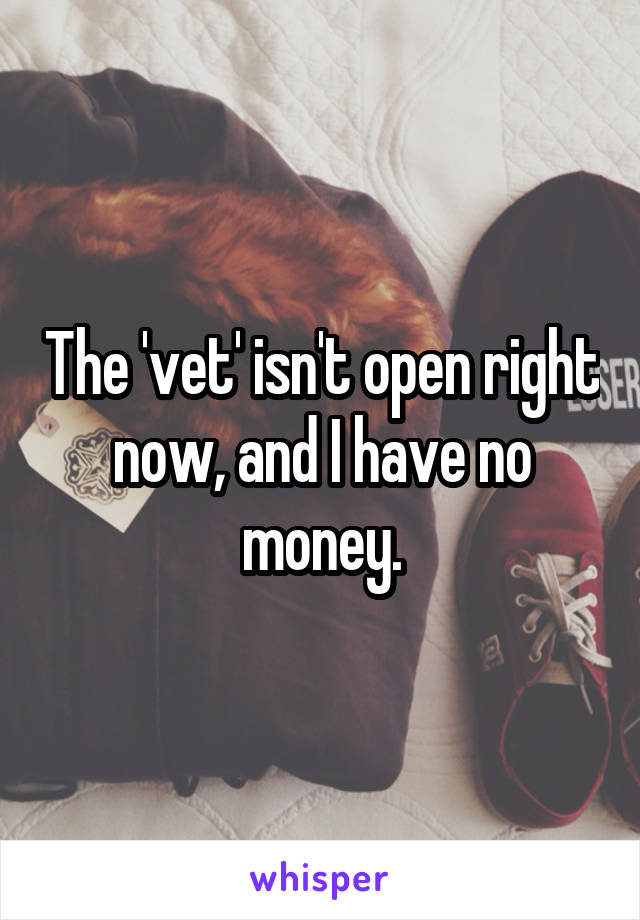 The 'vet' isn't open right now, and I have no money.