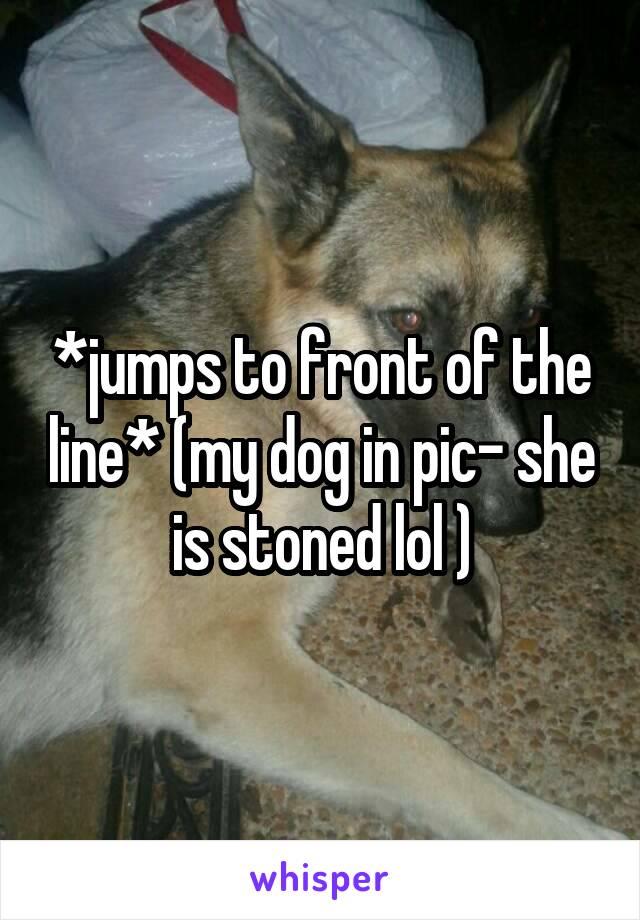 *jumps to front of the line* (my dog in pic- she is stoned lol )