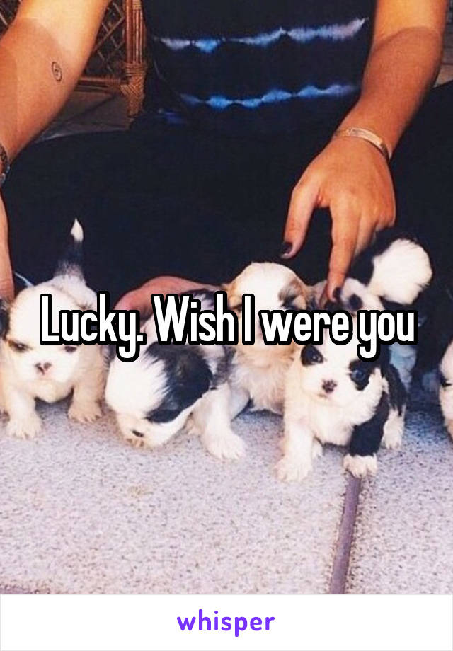 Lucky. Wish I were you