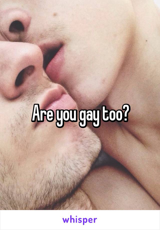 Are you gay too?