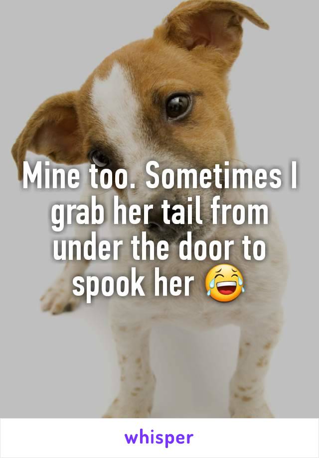 Mine too. Sometimes I grab her tail from under the door to spook her 😂