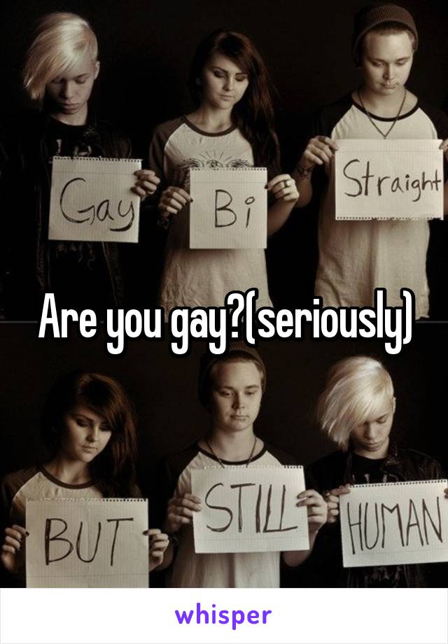 Are you gay?(seriously)