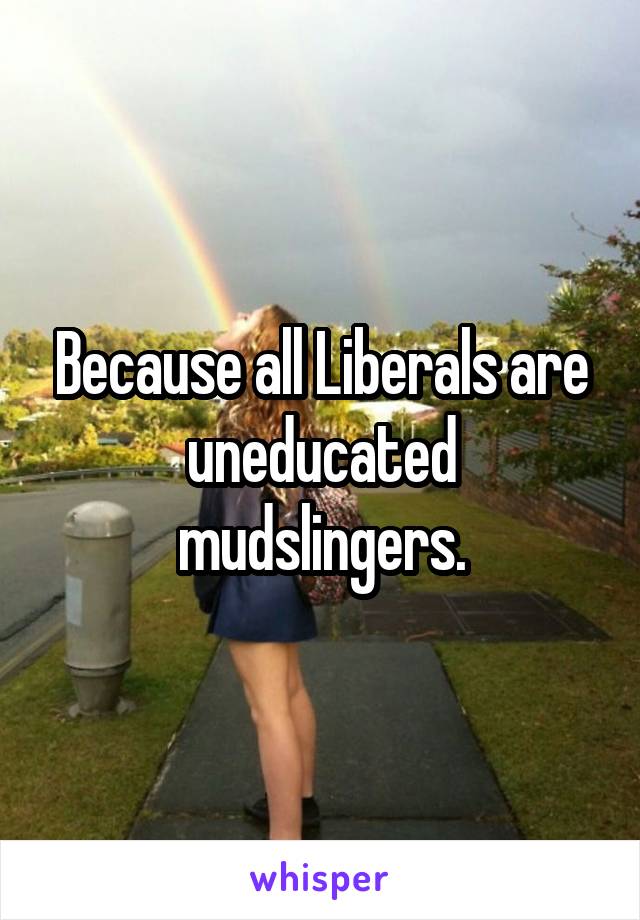 Because all Liberals are uneducated mudslingers.
