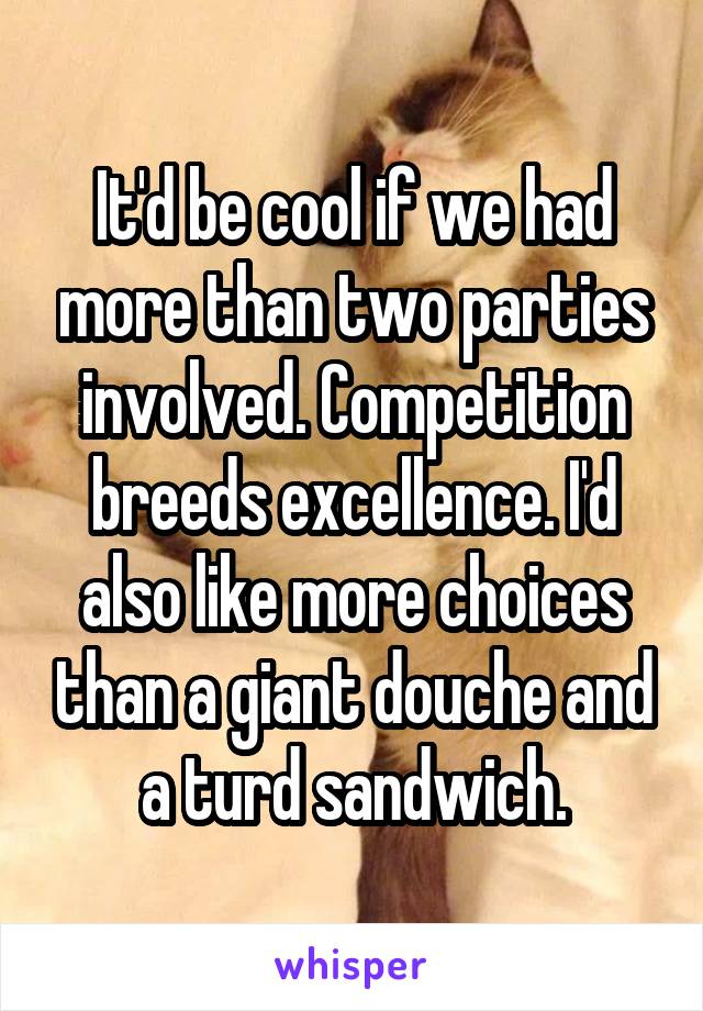 It'd be cool if we had more than two parties involved. Competition breeds excellence. I'd also like more choices than a giant douche and a turd sandwich.