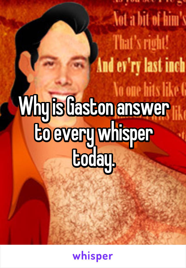 Why is Gaston answer to every whisper today.