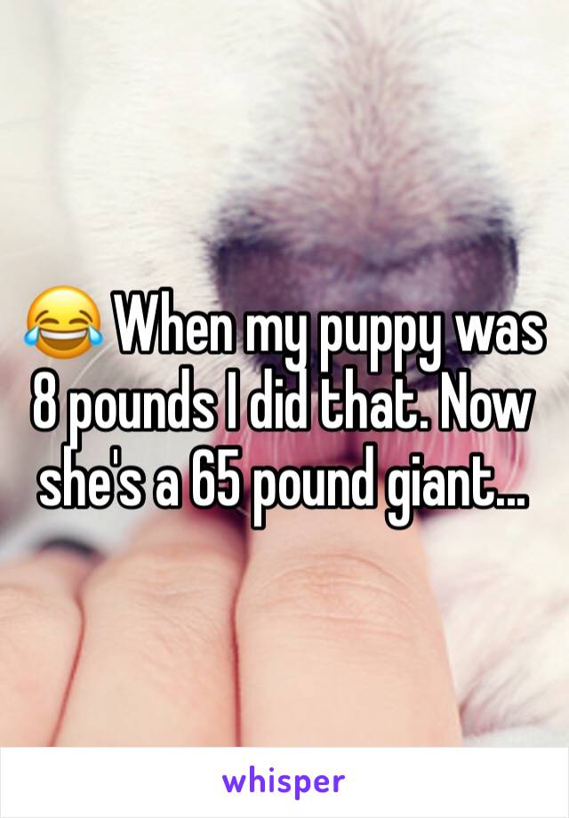 😂 When my puppy was 8 pounds I did that. Now she's a 65 pound giant...