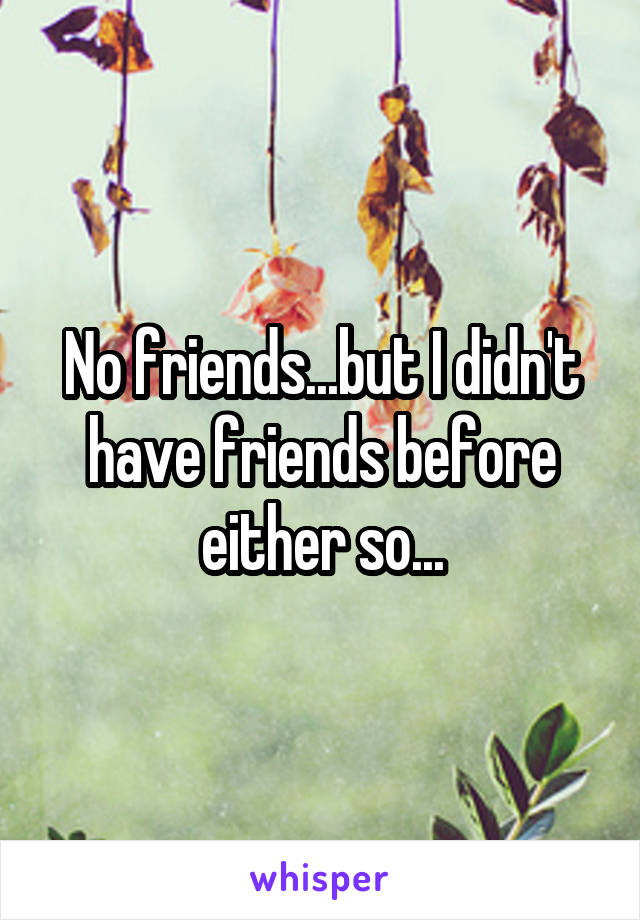 No friends...but I didn't have friends before either so...