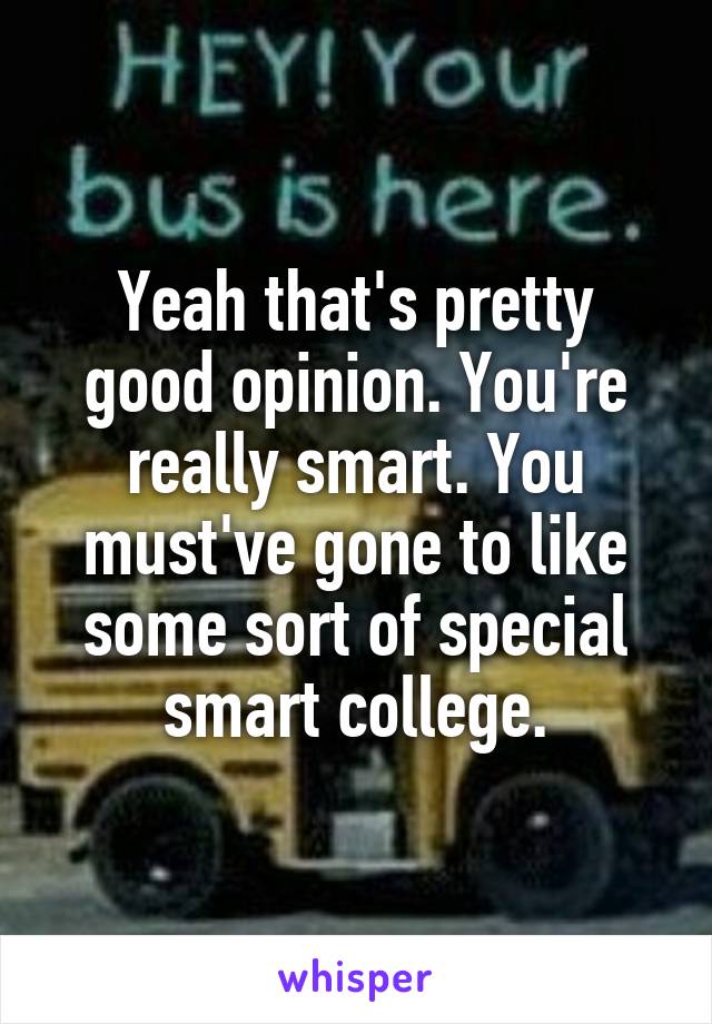 Yeah that's pretty good opinion. You're really smart. You must've gone to like some sort of special smart college.