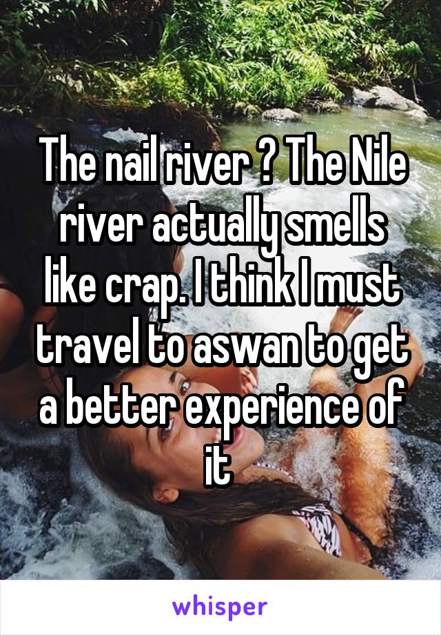 The nail river ? The Nile river actually smells like crap. I think I must travel to aswan to get a better experience of it 