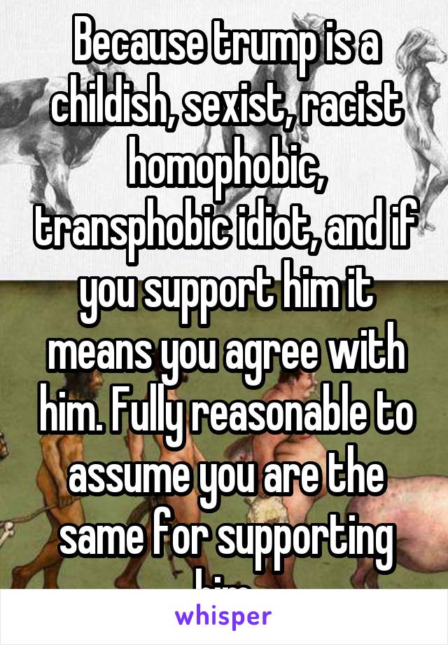 Because trump is a childish, sexist, racist homophobic, transphobic idiot, and if you support him it means you agree with him. Fully reasonable to assume you are the same for supporting him.