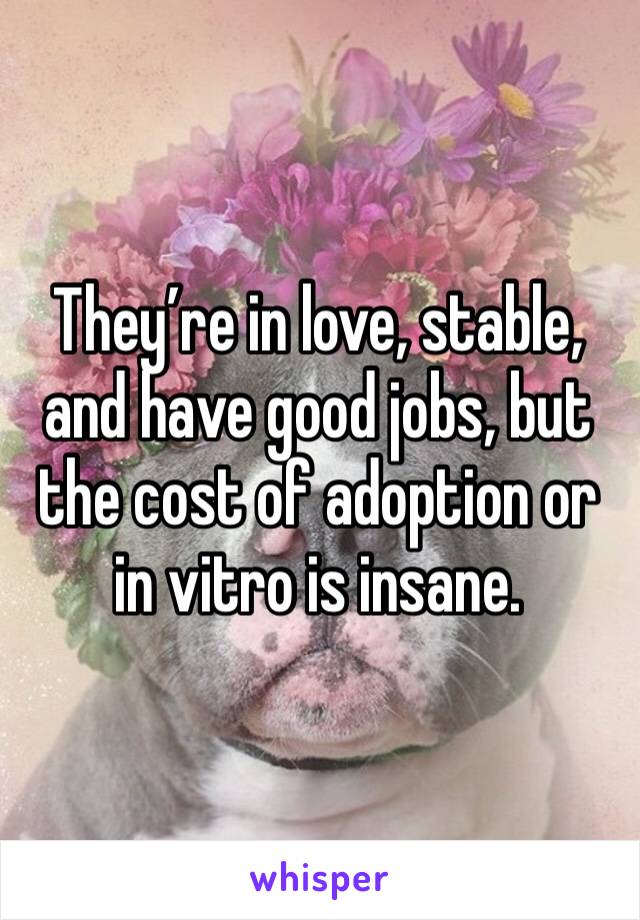 They’re in love, stable, and have good jobs, but the cost of adoption or in vitro is insane. 