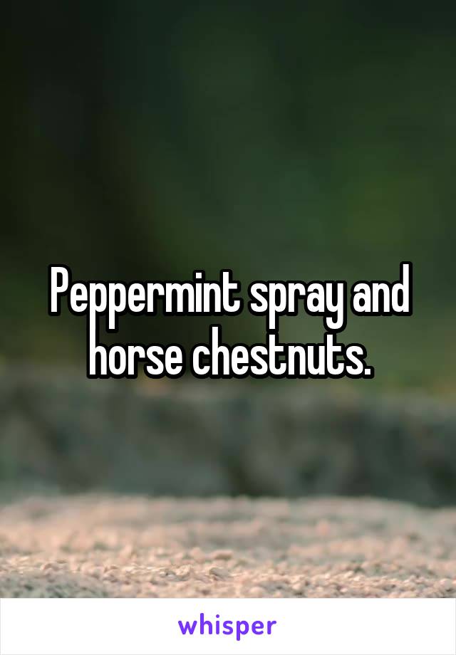 Peppermint spray and horse chestnuts.