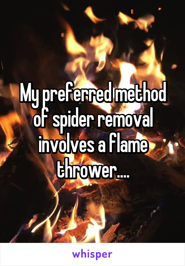 My preferred method of spider removal involves a flame thrower....