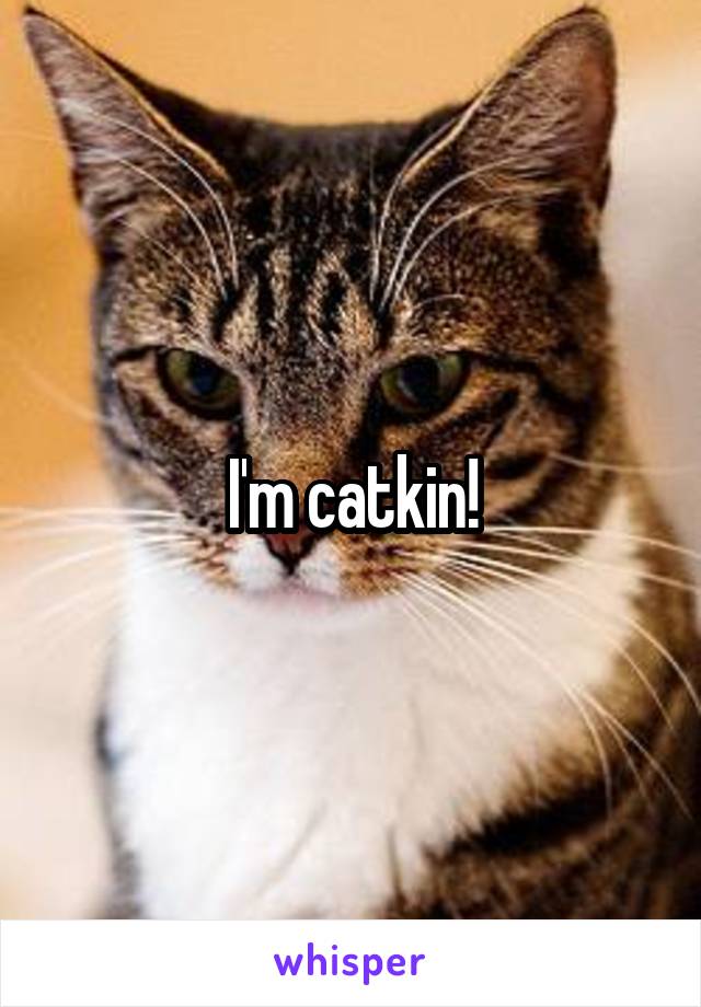 I'm catkin!