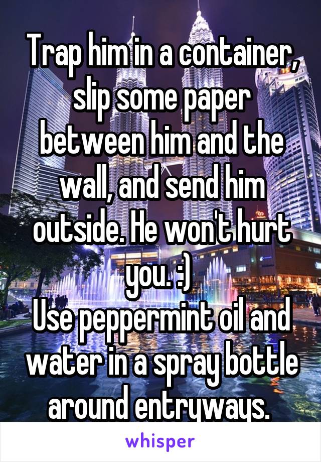 Trap him in a container, slip some paper between him and the wall, and send him outside. He won't hurt you. :) 
Use peppermint oil and water in a spray bottle around entryways. 